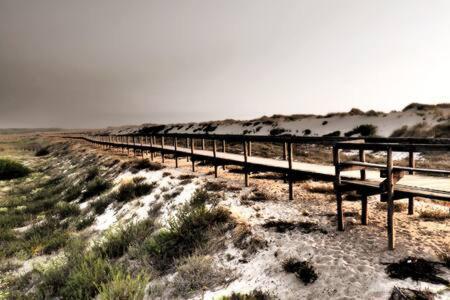 Swara Slow Living Home Aveiro Kültér fotó